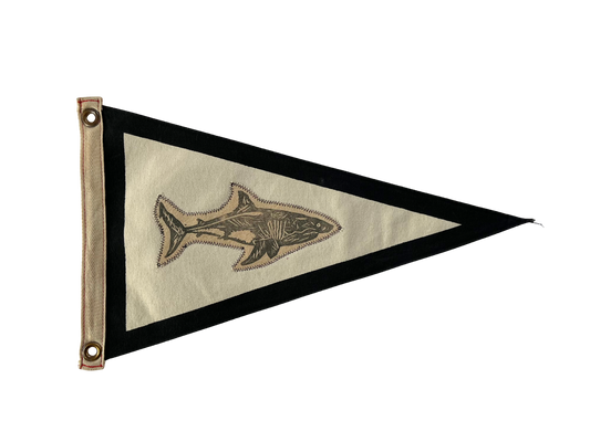 Shark Tracker - Black Trim